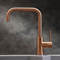 Metallic Kitchen Taps